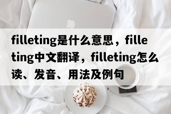 filleting是什么意思，filleting中文翻譯，filleting怎么讀、發(fā)音、用法及例句