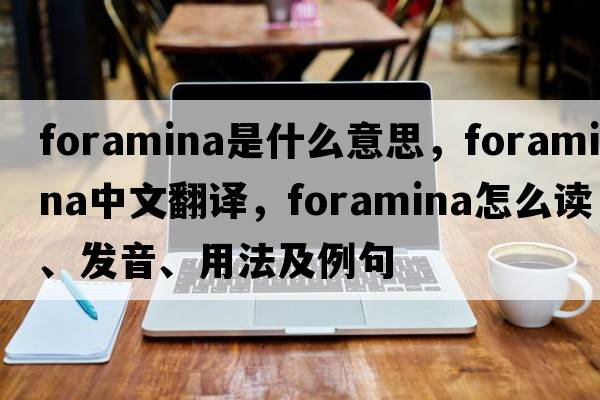 foramina是什么意思，foramina中文翻譯，foramina怎么讀、發(fā)音、用法及例句