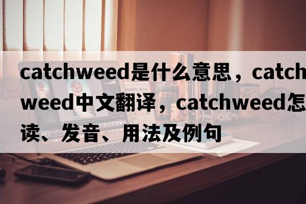 catchweed是什么意思，catchweed中文翻譯，catchweed怎么讀、發(fā)音、用法及例句