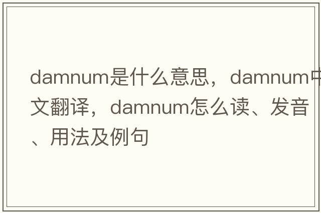damnum是什么意思，damnum中文翻譯，damnum怎么讀、發(fā)音、用法及例句