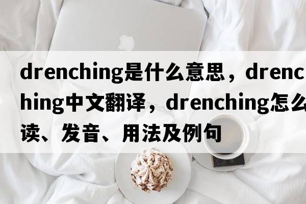 drenching是什么意思，drenching中文翻譯，drenching怎么讀、發(fā)音、用法及例句