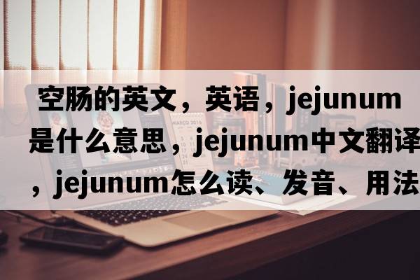  空腸的英文，英語，jejunum是什么意思，jejunum中文翻譯，jejunum怎么讀、發(fā)音、用法及例句