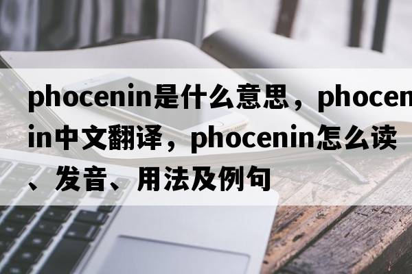 phocenin是什么意思，phocenin中文翻譯，phocenin怎么讀、發(fā)音、用法及例句