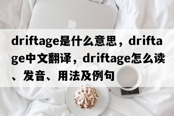 driftage是什么意思，driftage中文翻譯，driftage怎么讀、發(fā)音、用法及例句
