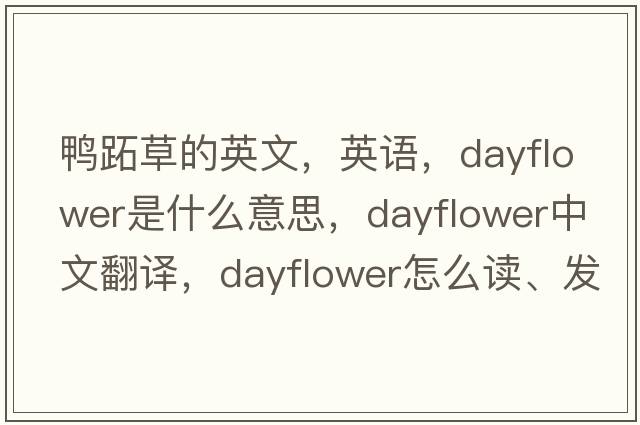 鴨跖草的英文，英語，dayflower是什么意思，dayflower中文翻譯，dayflower怎么讀、發(fā)音、用法及例句