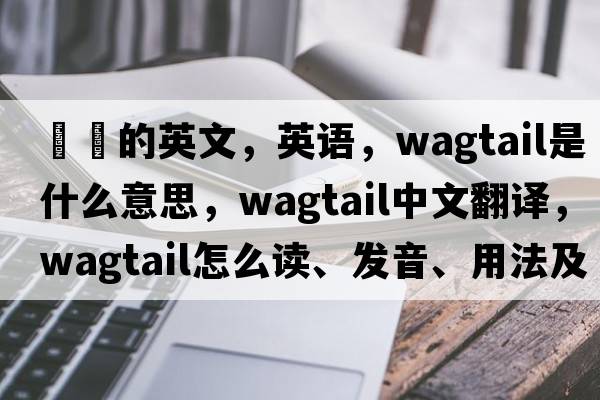 鹡鸰的英文，英語，wagtail是什么意思，wagtail中文翻譯，wagtail怎么讀、發(fā)音、用法及例句