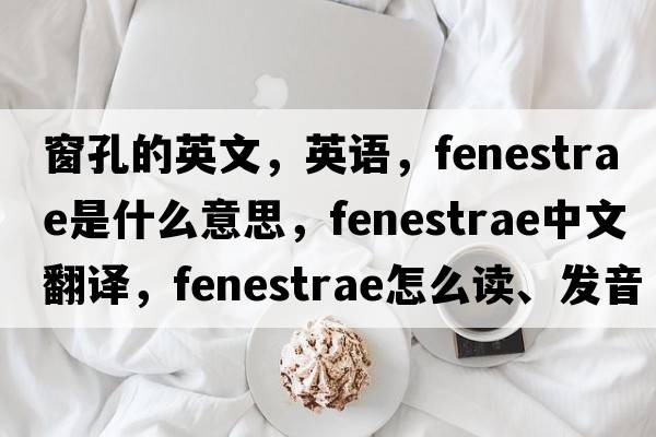 窗孔的英文，英語(yǔ)，fenestrae是什么意思，fenestrae中文翻譯，fenestrae怎么讀、發(fā)音、用法及例句