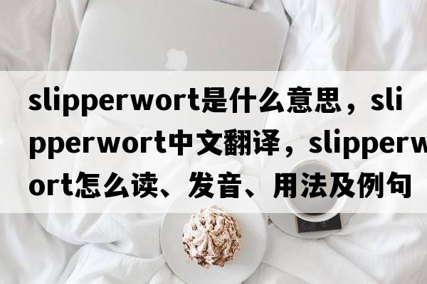 slipperwort是什么意思，slipperwort中文翻譯，slipperwort怎么讀、發(fā)音、用法及例句