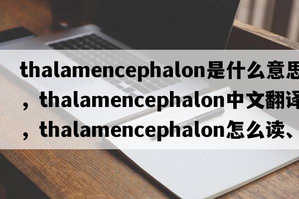 thalamencephalon是什么意思，thalamencephalon中文翻譯，thalamencephalon怎么讀、發(fā)音、用法及例句