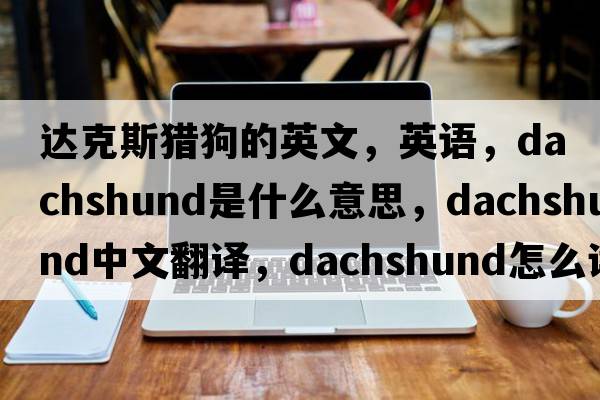 達(dá)克斯獵狗的英文，英語，dachshund是什么意思，dachshund中文翻譯，dachshund怎么讀、發(fā)音、用法及例句