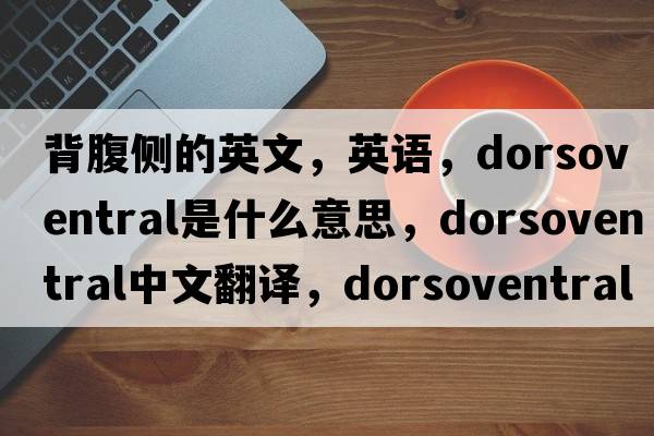 背腹側(cè)的英文，英語，dorsoventral是什么意思，dorsoventral中文翻譯，dorsoventral怎么讀、發(fā)音、用法及例句