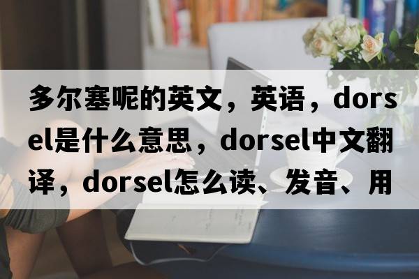 多爾塞呢的英文，英語，dorsel是什么意思，dorsel中文翻譯，dorsel怎么讀、發(fā)音、用法及例句