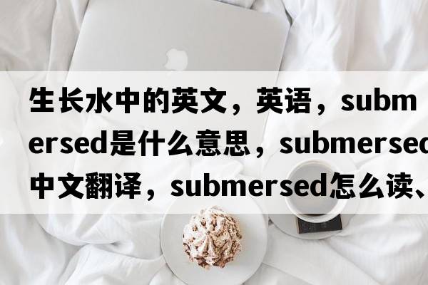 生長水中的英文，英語，submersed是什么意思，submersed中文翻譯，submersed怎么讀、發(fā)音、用法及例句
