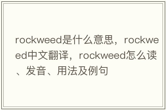 rockweed是什么意思，rockweed中文翻譯，rockweed怎么讀、發(fā)音、用法及例句