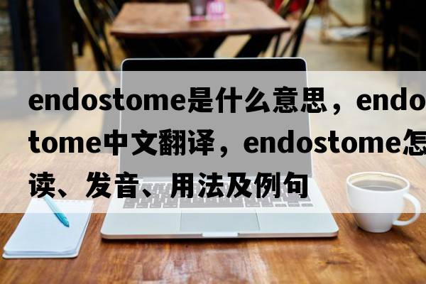 endostome是什么意思，endostome中文翻譯，endostome怎么讀、發(fā)音、用法及例句