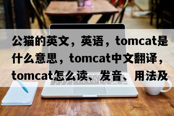 公貓的英文，英語，tomcat是什么意思，tomcat中文翻譯，tomcat怎么讀、發(fā)音、用法及例句