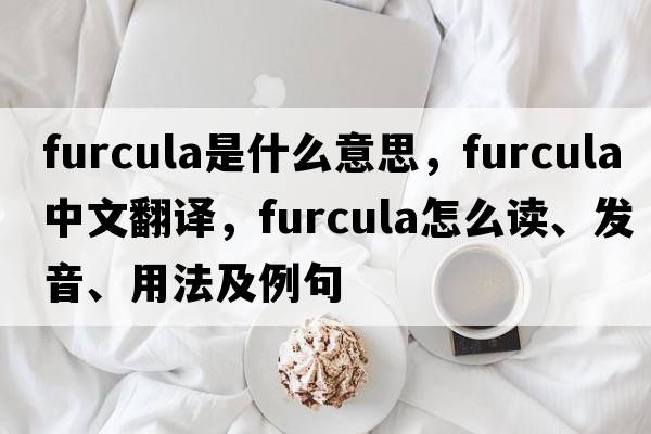 furcula是什么意思，furcula中文翻譯，furcula怎么讀、發(fā)音、用法及例句