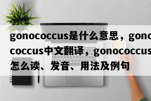 gonococcus是什么意思，gonococcus中文翻譯，gonococcus怎么讀、發(fā)音、用法及例句