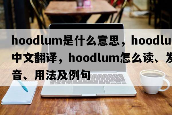 hoodlum是什么意思，hoodlum中文翻譯，hoodlum怎么讀、發(fā)音、用法及例句