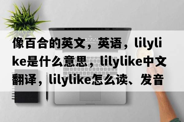 像百合的英文，英語，lilylike是什么意思，lilylike中文翻譯，lilylike怎么讀、發(fā)音、用法及例句