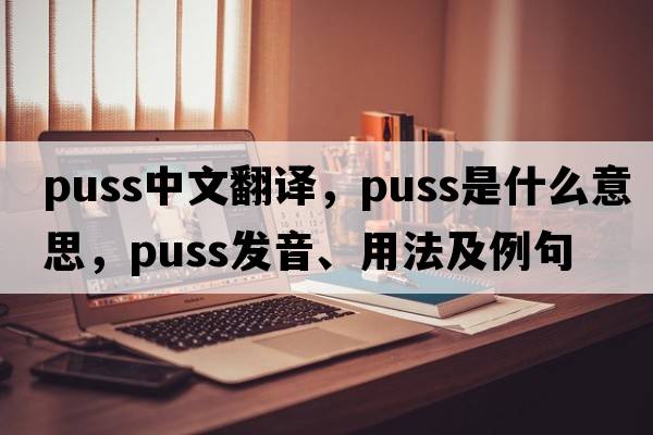 puss中文翻譯，puss是什么意思，puss發(fā)音、用法及例句