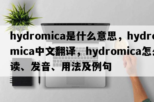 hydromica是什么意思，hydromica中文翻譯，hydromica怎么讀、發(fā)音、用法及例句