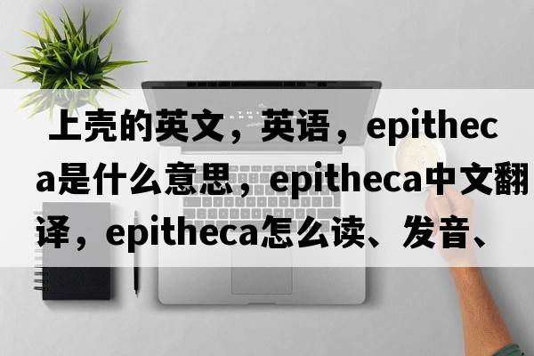 上殼的英文，英語(yǔ)，epitheca是什么意思，epitheca中文翻譯，epitheca怎么讀、發(fā)音、用法及例句