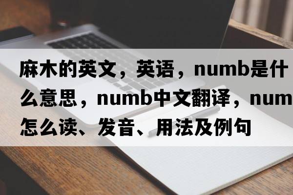麻木的英文，英語，numb是什么意思，numb中文翻譯，numb怎么讀、發(fā)音、用法及例句