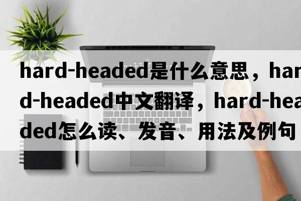 hard-headed是什么意思，hard-headed中文翻譯，hard-headed怎么讀、發(fā)音、用法及例句