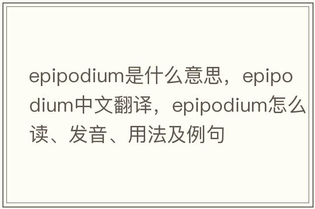 epipodium是什么意思，epipodium中文翻譯，epipodium怎么讀、發(fā)音、用法及例句