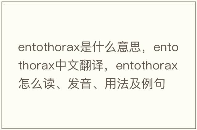 entothorax是什么意思，entothorax中文翻譯，entothorax怎么讀、發(fā)音、用法及例句