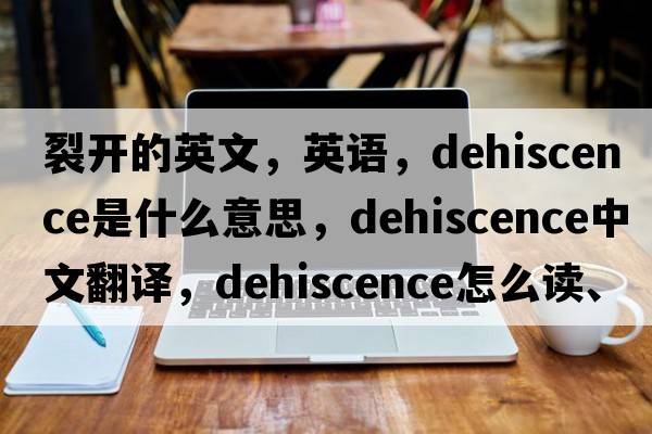 裂開的英文，英語，dehiscence是什么意思，dehiscence中文翻譯，dehiscence怎么讀、發(fā)音、用法及例句