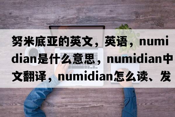 努米底亞的英文，英語(yǔ)，Numidian是什么意思，Numidian中文翻譯，Numidian怎么讀、發(fā)音、用法及例句