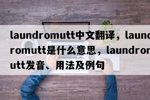 laundromutt中文翻譯，laundromutt是什么意思，laundromutt發(fā)音、用法及例句
