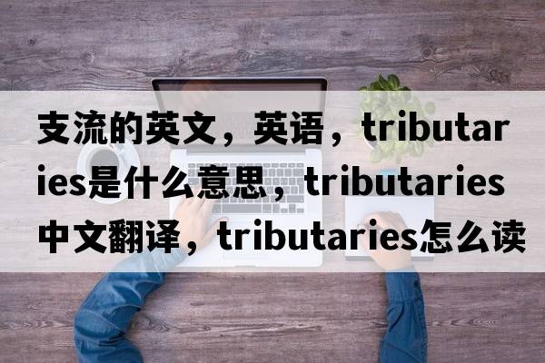 支流的英文，英語(yǔ)，tributaries是什么意思，tributaries中文翻譯，tributaries怎么讀、發(fā)音、用法及例句