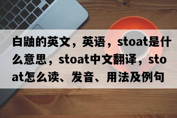 白鼬的英文，英語，stoat是什么意思，stoat中文翻譯，stoat怎么讀、發(fā)音、用法及例句