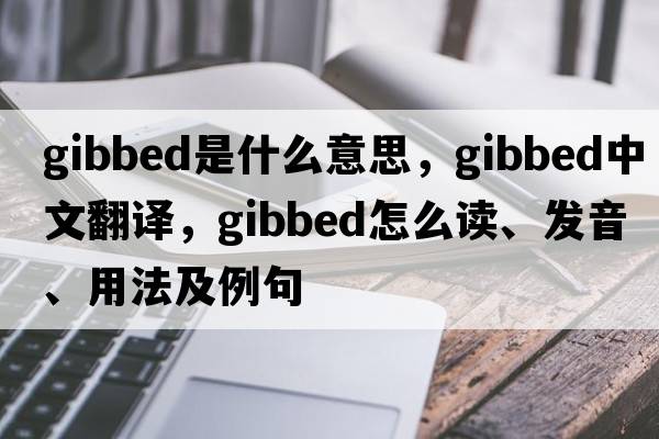 gibbed是什么意思，gibbed中文翻譯，gibbed怎么讀、發(fā)音、用法及例句