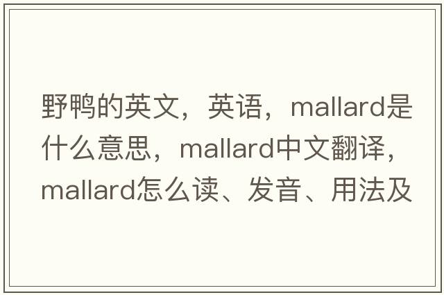 野鴨的英文，英語，mallard是什么意思，mallard中文翻譯，mallard怎么讀、發(fā)音、用法及例句