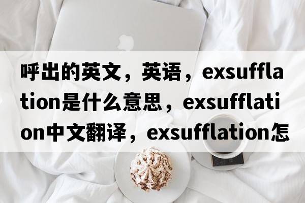 呼出的英文，英語，exsufflation是什么意思，exsufflation中文翻譯，exsufflation怎么讀、發(fā)音、用法及例句