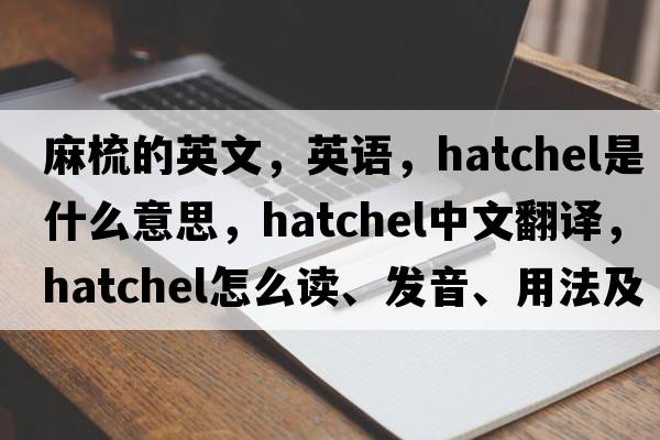 麻梳的英文，英語，hatchel是什么意思，hatchel中文翻譯，hatchel怎么讀、發(fā)音、用法及例句