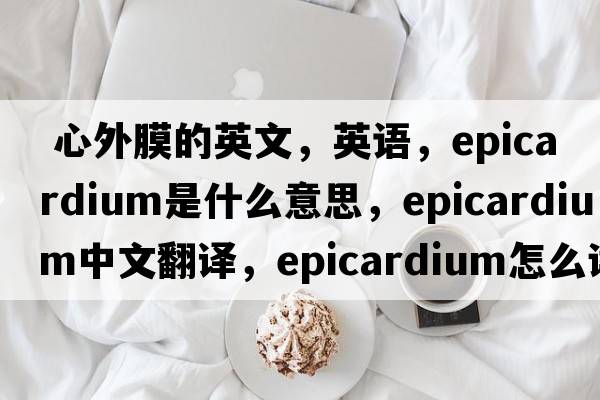  心外膜的英文，英語，epicardium是什么意思，epicardium中文翻譯，epicardium怎么讀、發(fā)音、用法及例句