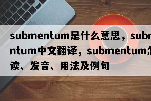 submentum是什么意思，submentum中文翻譯，submentum怎么讀、發(fā)音、用法及例句