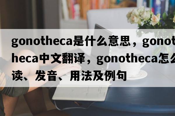 gonotheca是什么意思，gonotheca中文翻譯，gonotheca怎么讀、發(fā)音、用法及例句