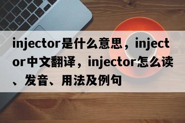 injector是什么意思，injector中文翻譯，injector怎么讀、發(fā)音、用法及例句