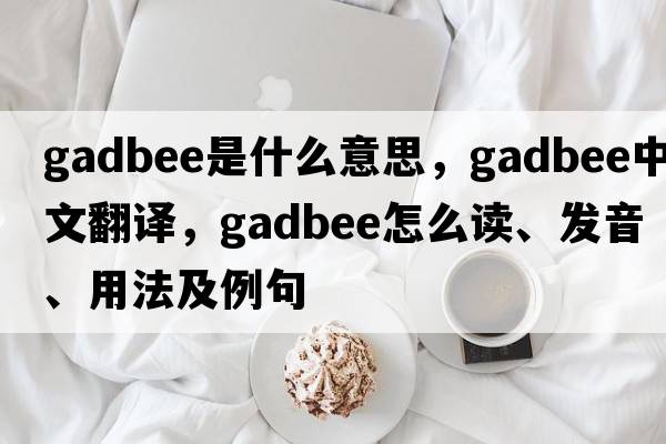 gadbee是什么意思，gadbee中文翻譯，gadbee怎么讀、發(fā)音、用法及例句