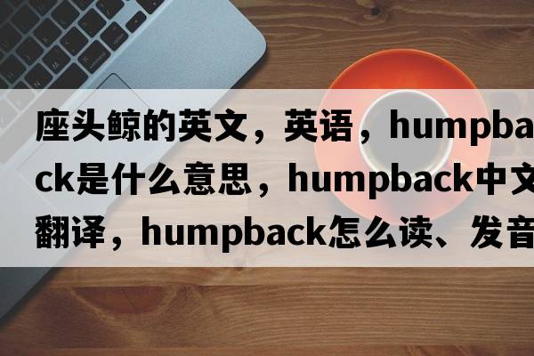 座頭鯨的英文，英語，humpback是什么意思，humpback中文翻譯，humpback怎么讀、發(fā)音、用法及例句