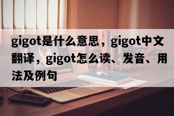 gigot是什么意思，gigot中文翻譯，gigot怎么讀、發(fā)音、用法及例句