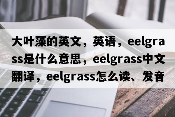 大葉藻的英文，英語，eelgrass是什么意思，eelgrass中文翻譯，eelgrass怎么讀、發(fā)音、用法及例句