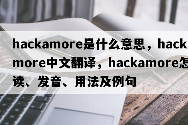 hackamore是什么意思，hackamore中文翻譯，hackamore怎么讀、發(fā)音、用法及例句