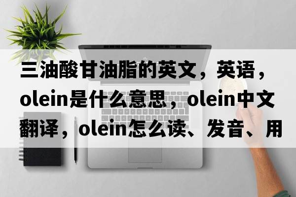 三油酸甘油脂的英文，英語，olein是什么意思，olein中文翻譯，olein怎么讀、發(fā)音、用法及例句